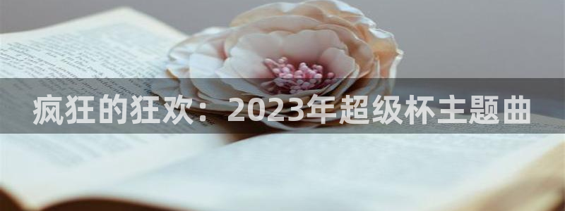 亚洲杯比赛直播:疯狂的狂欢:2023年超级杯主题曲