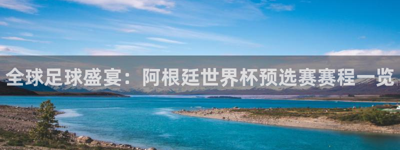 2026世界杯官网:全球足球盛宴:阿根廷世界杯预选赛赛程一览
