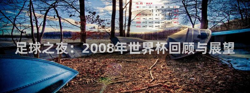 国际足联世界杯:足球之夜:2008年世界杯回顾与展望