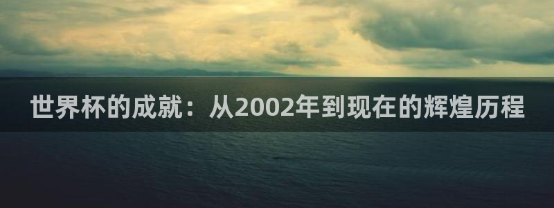 世界杯比赛赛程:世界杯的成就:从2002年到现在的辉煌历程
