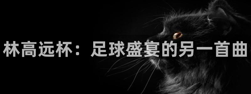 2026足球世界杯赛程:林高远杯:足球盛宴的另一首曲