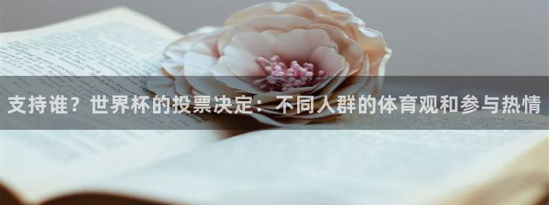 世预赛直播:支持谁?世界杯的投票决定:不同人群的体育观和参与热情
