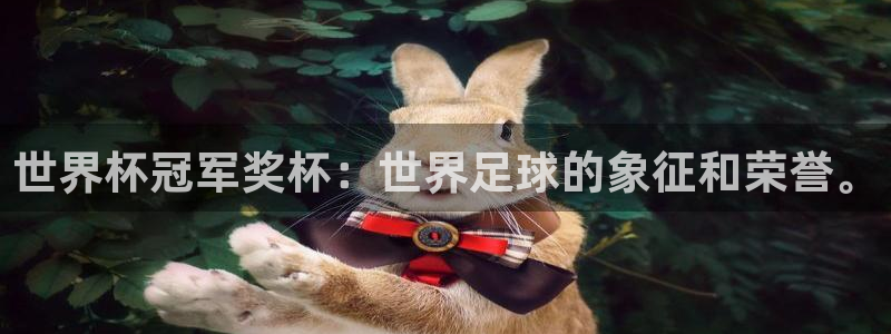 世界杯预选赛亚洲区积分榜:世界杯冠军奖杯:世界足球的象征和荣誉。